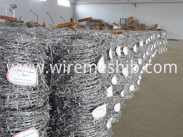 Galvanized Barb Wire